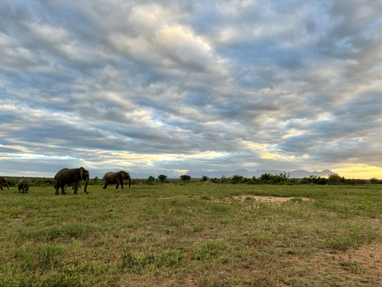 So it begins: Welcome to my new blog!