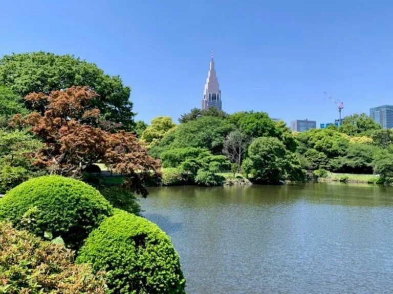 Shinjuku Gyoen National Garden pond surrounded by lush greenery and autumn maples, offering peaceful respite in central Tokyo