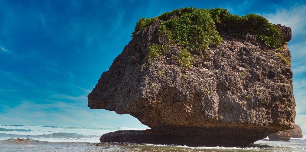 Best Surfing in Barbados: Bathsheba Beach Barbados