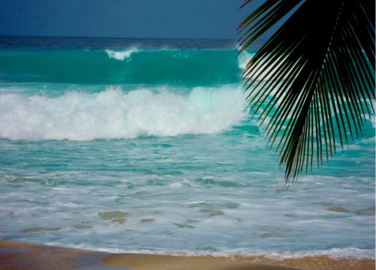Best Surfing in Barbados: The Soup Bowl Bathsheba