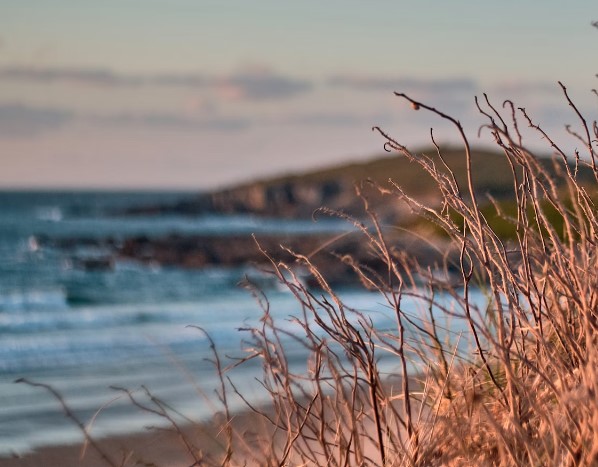Fistral beach taken at sunset with the grass on the dunes visible in the foreground and the waves lapping the shore in the background