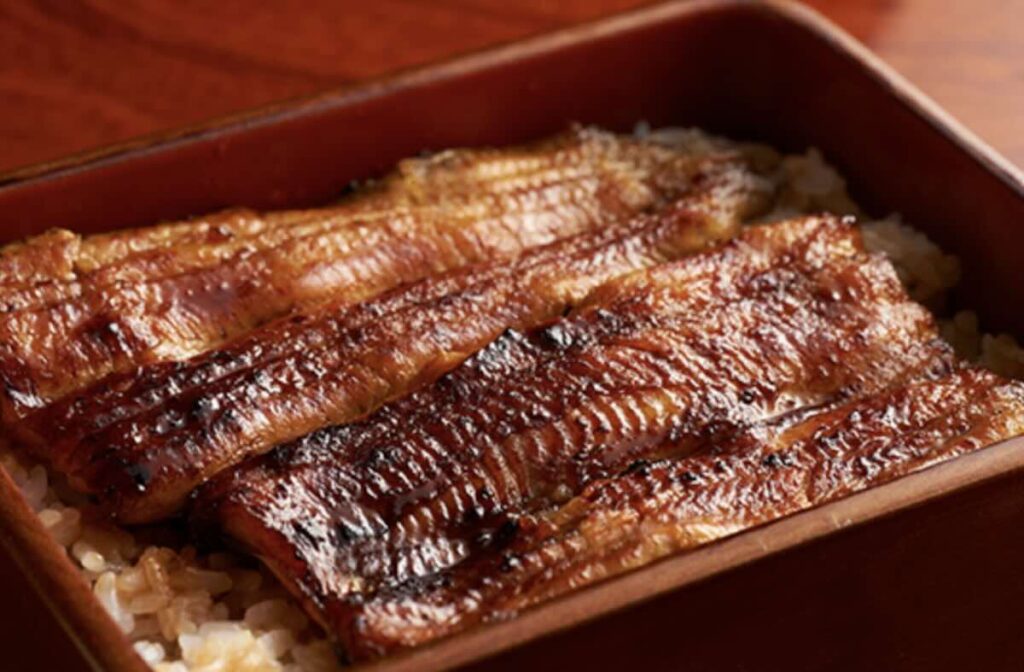 Glossy grilled eel fillets glazed with sweet soy sauce, served over rice in a traditional lacquered box. 