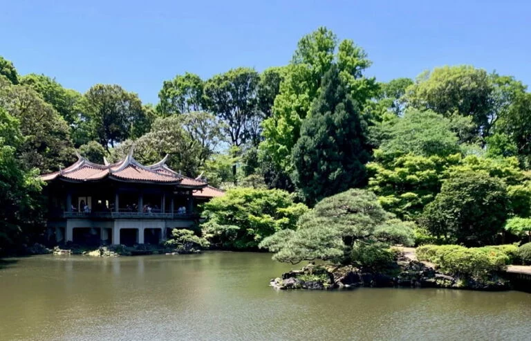 Picturesque scene of a traditional Japanese pavilion surrounded by greenery and a tranquil pond at Shinjuku Gyoen National Garden in Tokyo