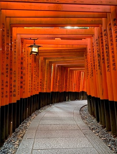 A mesmerizing tunnel of vibrant orange torii gates at Fushimi Inari Shrine in Kyoto, Japan. The path winds through countless vermilion gates, each inscribed with Japanese characters. A single lantern hangs from the ceiling, illuminating the stone pathway that curves into the distance, creating a stunning perspective of repeating arches that fade into shadow.
