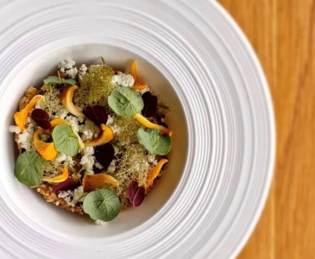 Colourful vegetarian dish with roasted vegetables, microgreens and cheese crumbles on white ridged plate, artistic plating style