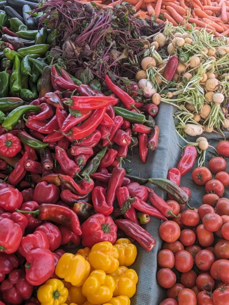 Vibrant market display of red and green chillies, yellow peppers, tomatoes, and root vegetables in Chefchaouen.