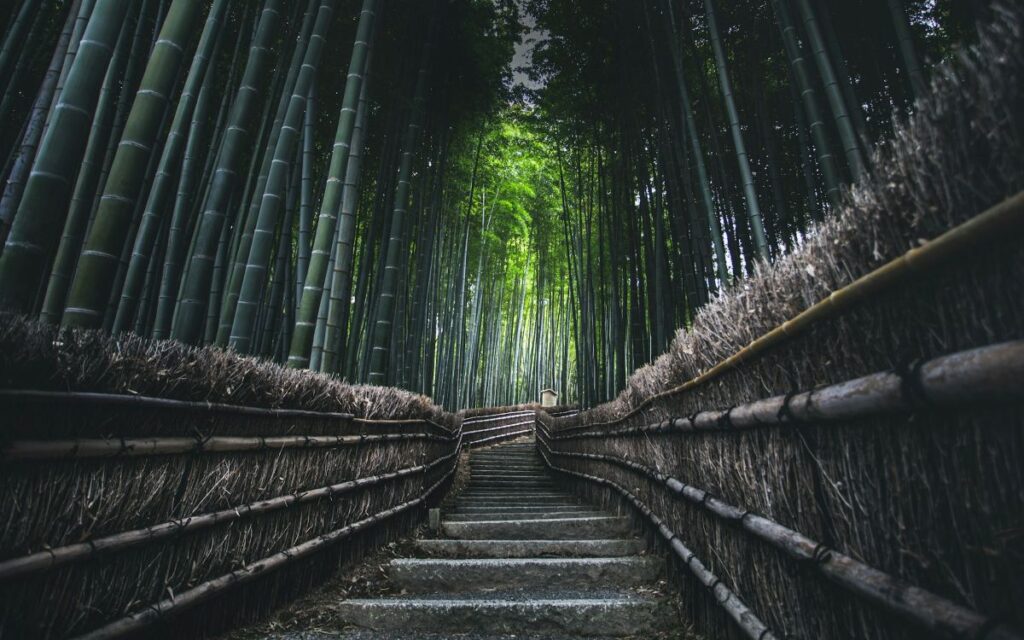 Arashiyama Bamboo Grove pathway with towering green bamboo creating natural tunne
