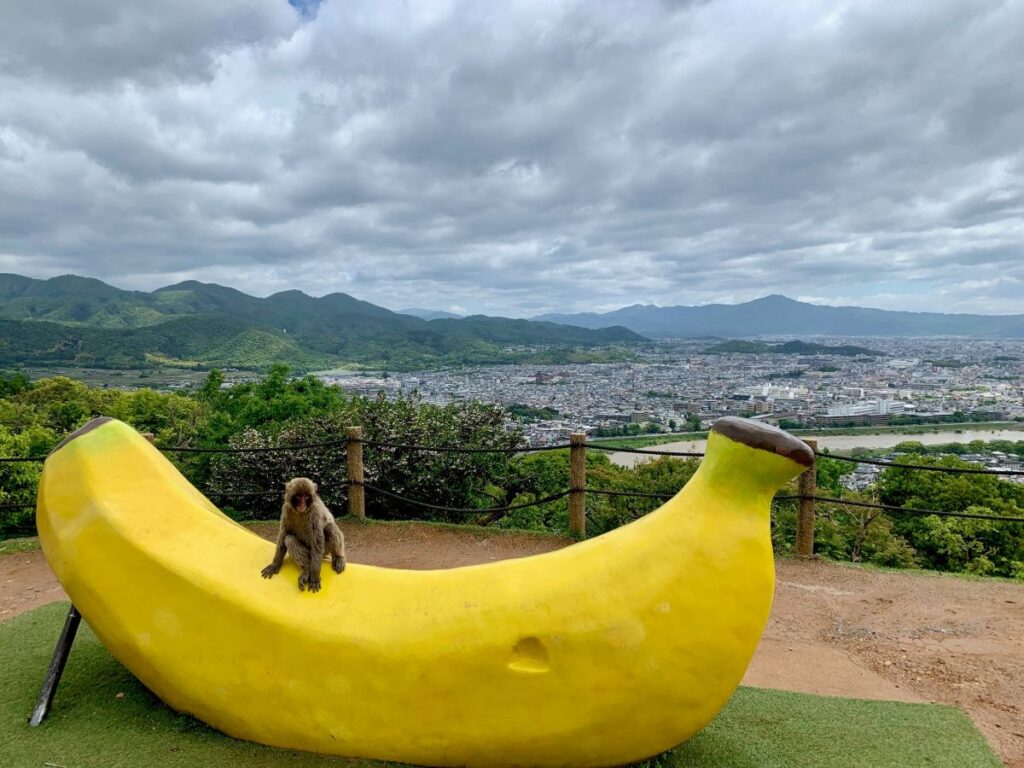 Monkey sitting on giant yellow banana sculpture overlooking Kyoto city at the Monkey Park