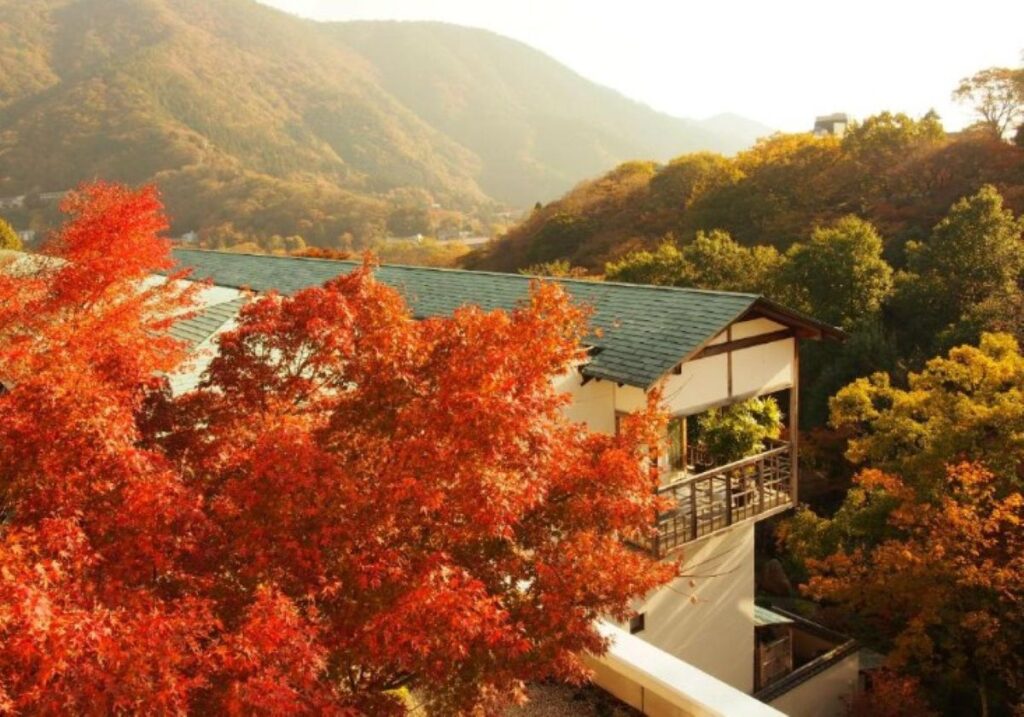 Ryokan building nestled in autumn foliage with red maple trees in Hakone mountains