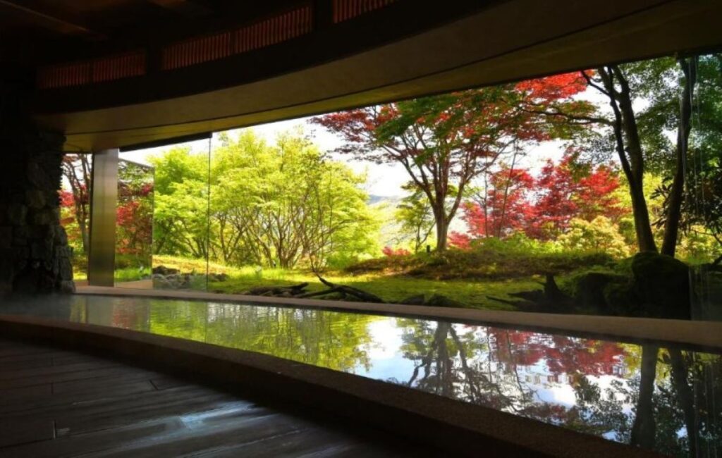 Indoor onsen pool reflecting Japanese garden with red maple and green foliage