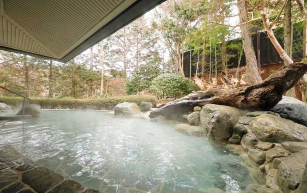 Natural rock outdoor onsen pool surrounded by forest and driftwood in Hakone