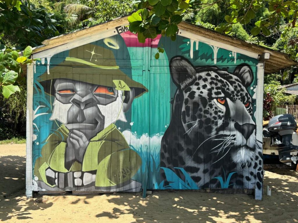 Colourful mural on a beach hut showing a monkey and a jaguar painted side by side