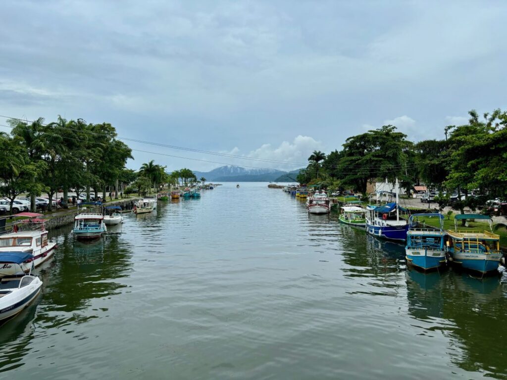 Colourful fishing boats moored along tree-lined canal with mountains in background