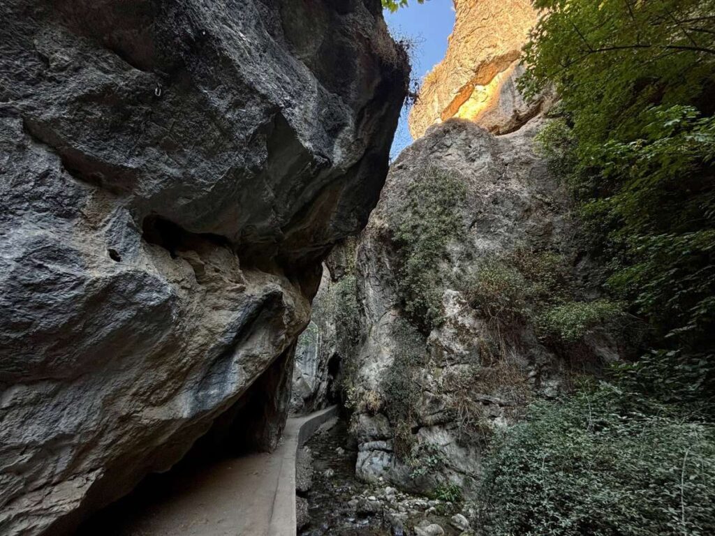 Pathway clinging to a rock wall above a stream in a shady gorge on the Los Cahorros walk.