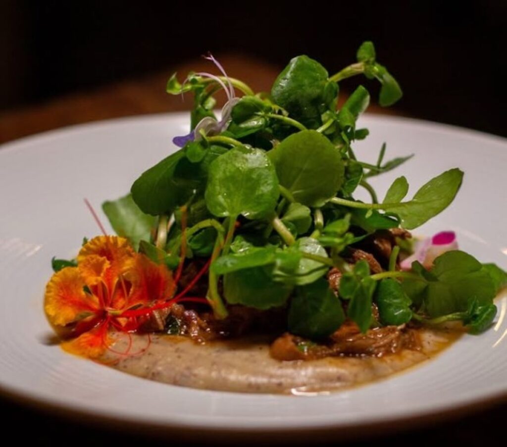 Dish topped with fresh microgreens, edible flowers and colourful garnish on sauce