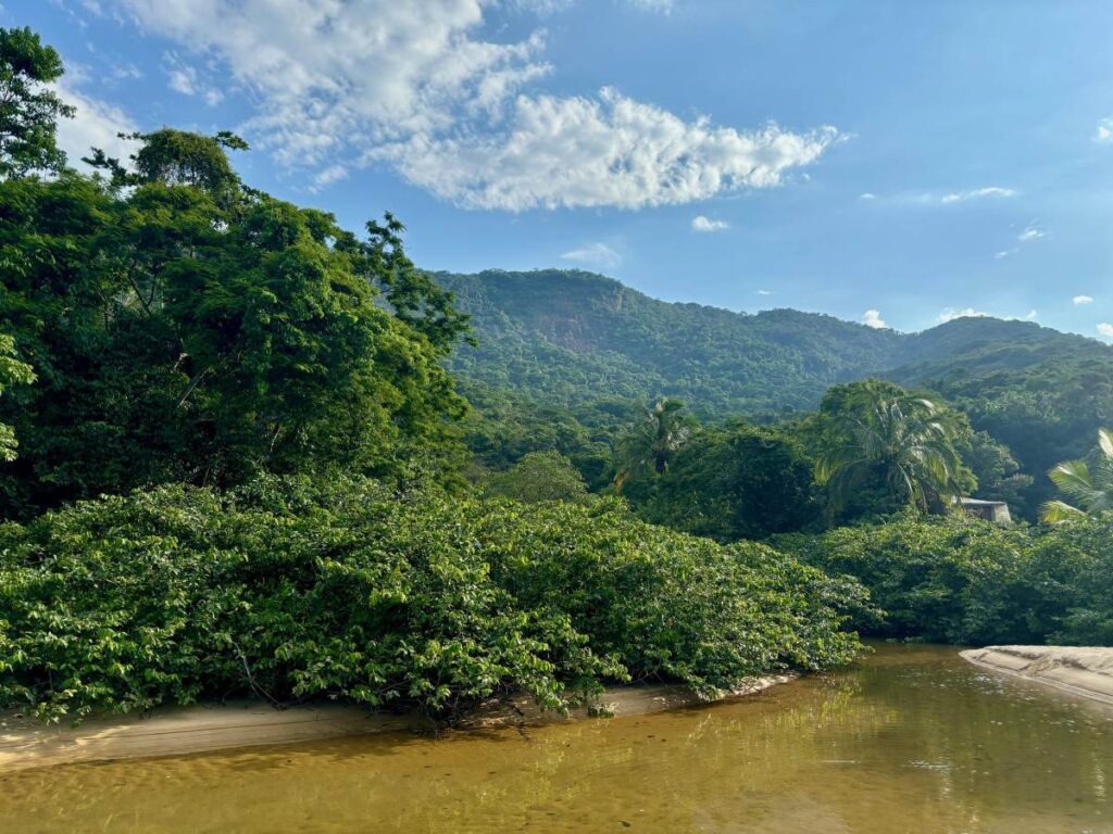 Freshwater stream flowing into the sea on Ilha Grande, surrounded by dense rainforest and low mountains