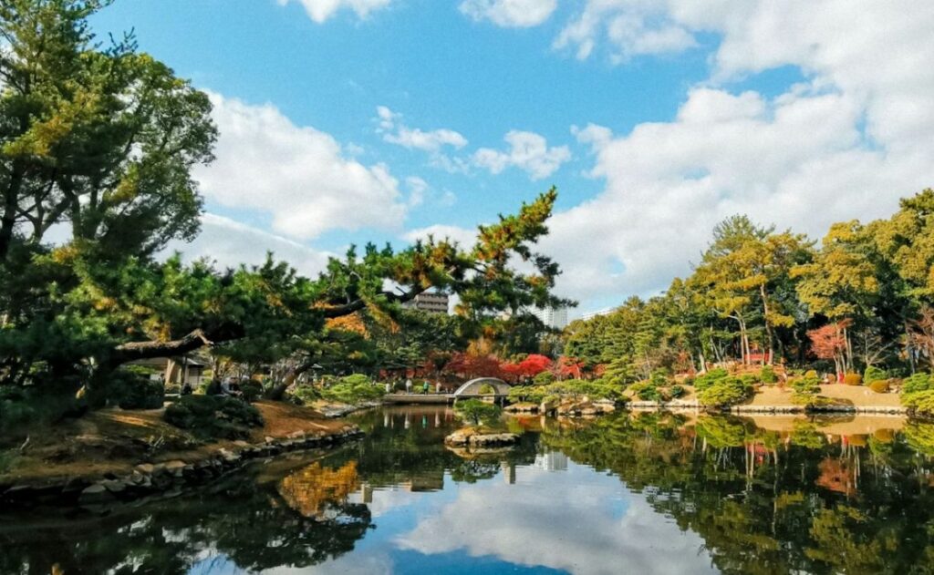 Japanese garden with arched bridge, koi pond and autumn foliage reflecting in still water