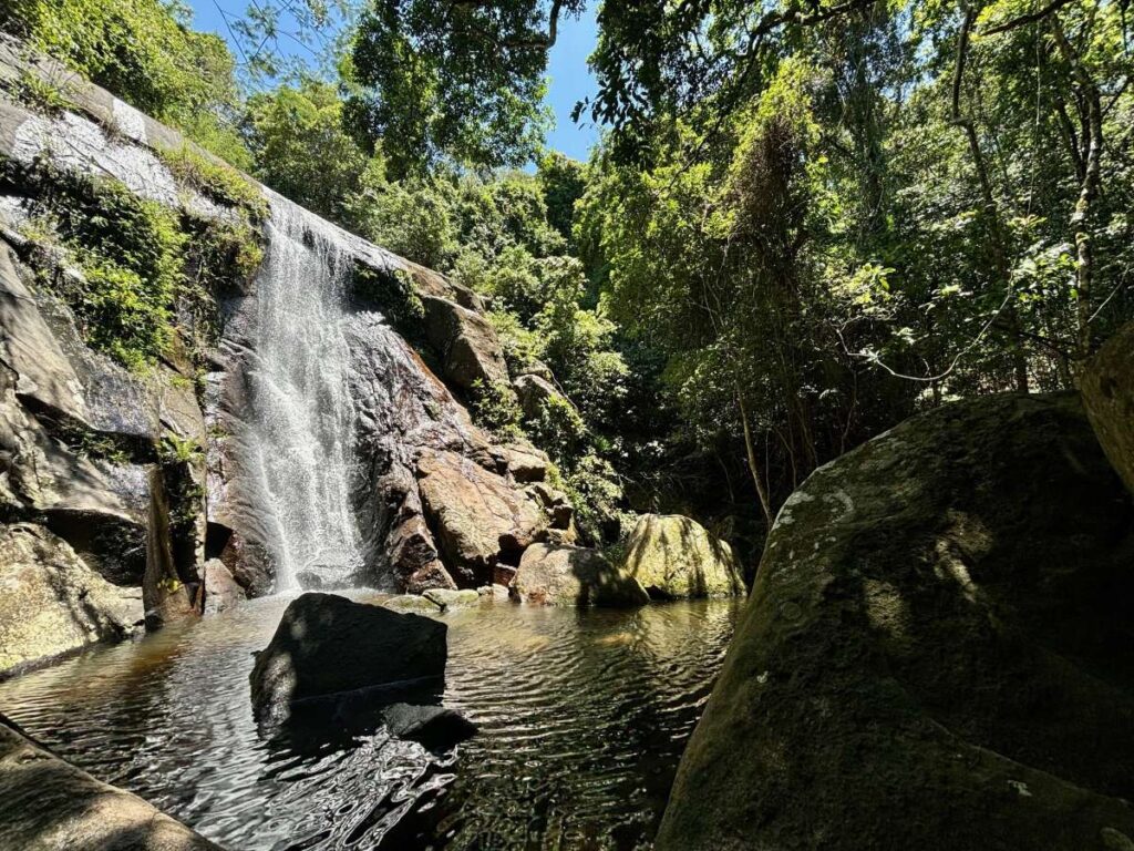 Small waterfall in Ilha Grande rainforest cascading into a shallow natural pool surrounded by rocks and trees