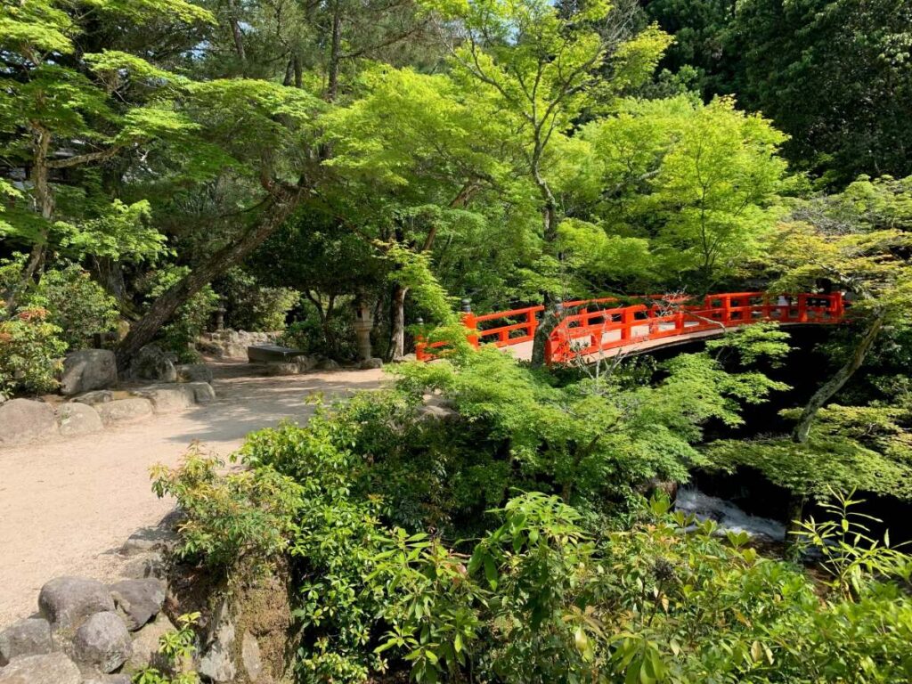 Red arched bridge in Momijidani Park on Miyajima, shaded path and leafy maples over a small stream.