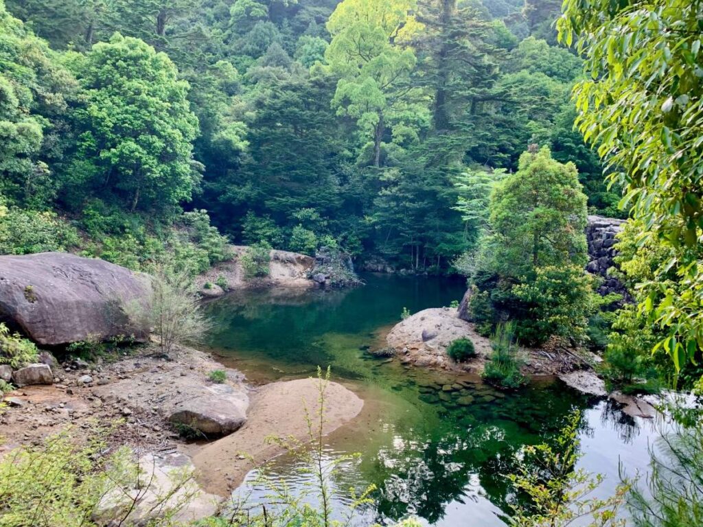 Clear green forest pool and granite boulders in Momijidani valley on Miyajima, surrounded by dense trees.