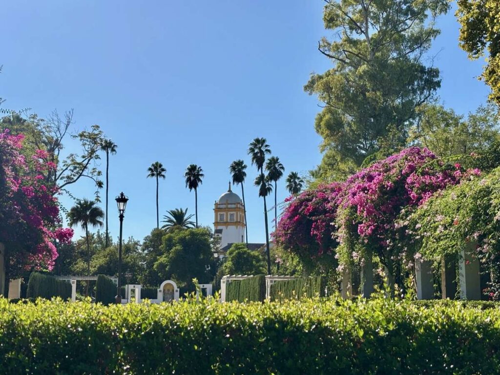 Bright garden scene with bougainvillea and tall palms framing a white domed pavilion, hedges and paths under a clear blue sky.