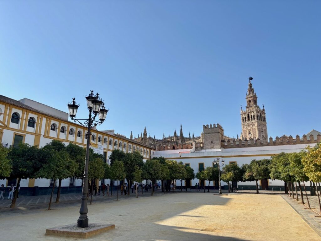 Open courtyard by the Cathedral with rows of orange trees and lampposts on a wide sandy square, Giralda beyond.