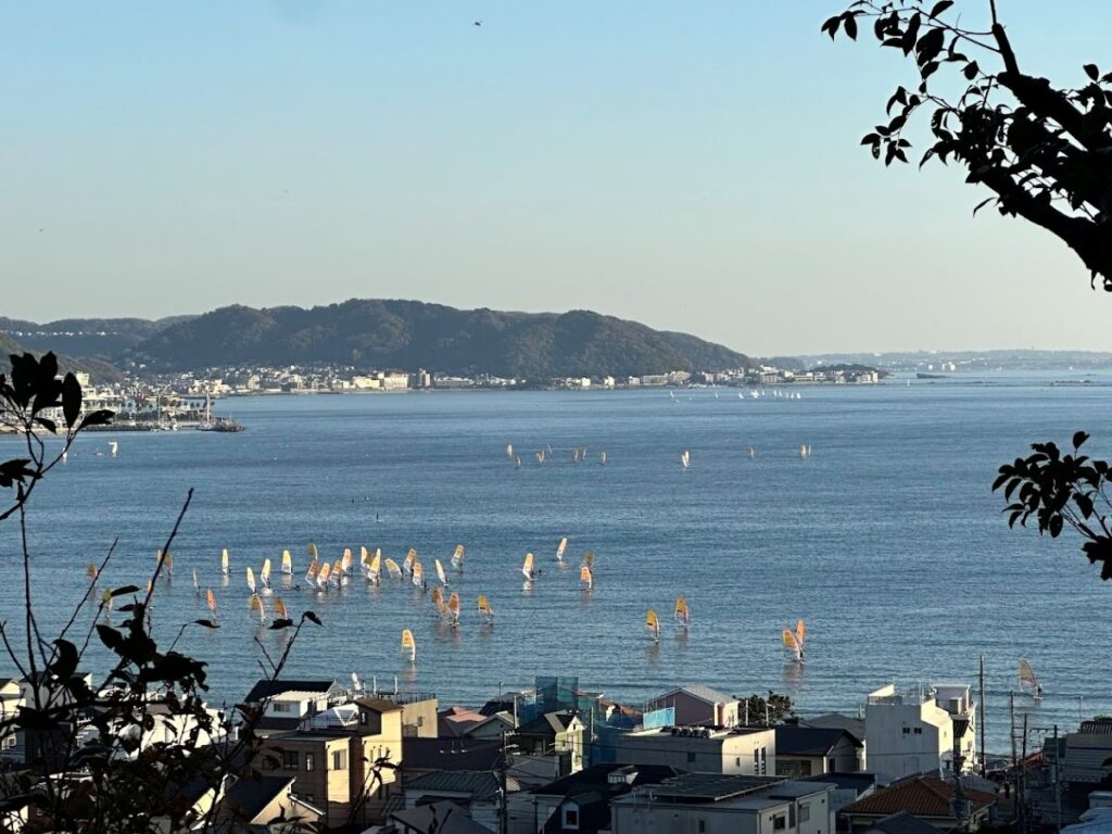 Windsurfers dotted across a blue bay, with coastal hills and rooftops in the foreground.
