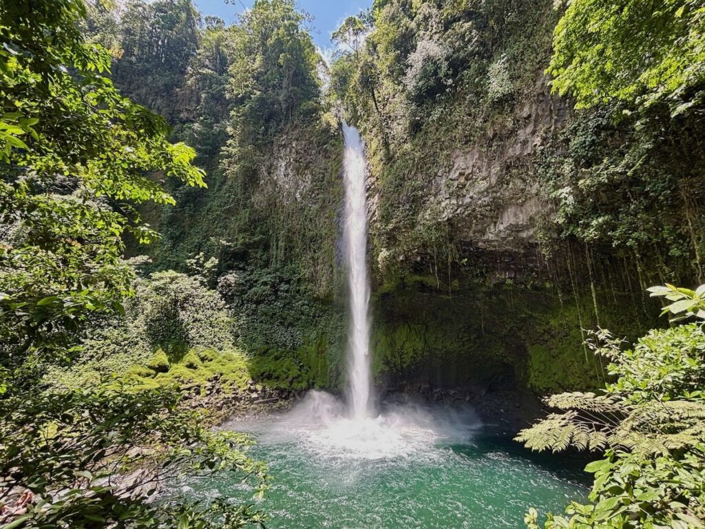 A tall powerful waterfall plunging from a jungle-covered cliff into a turquoise pool, framed by dense rainforest and hanging vines.