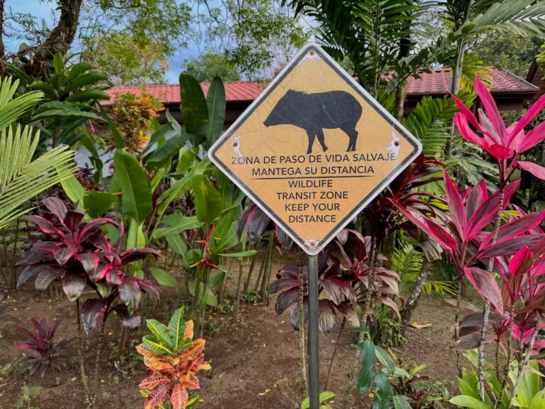 Yellow diamond wildlife crossing sign showing a tapir silhouette, reading "Wildlife Transit Zone, Keep Your Distance