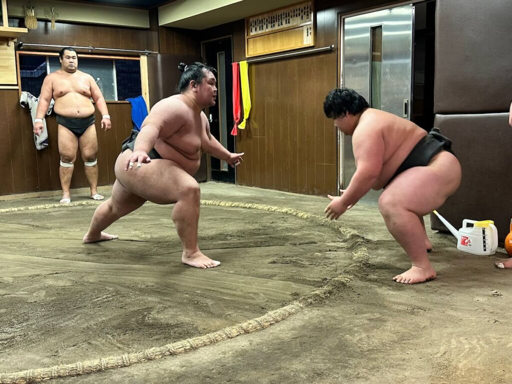 Two sumo wrestlers crouched low and facing each other across the dohyo, preparing to charge during morning practice.