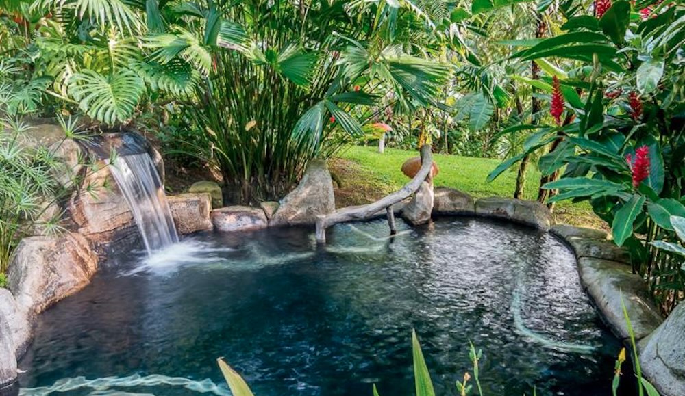 Dark stone-lined thermal pool fed by a small waterfall, surrounded by ferns, palms and bright red ginger flowers