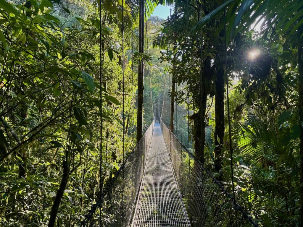 A long suspension bridge stretching through dense green rainforest canopy at Mistico Arenal hanging bridges park, with sunlight breaking through