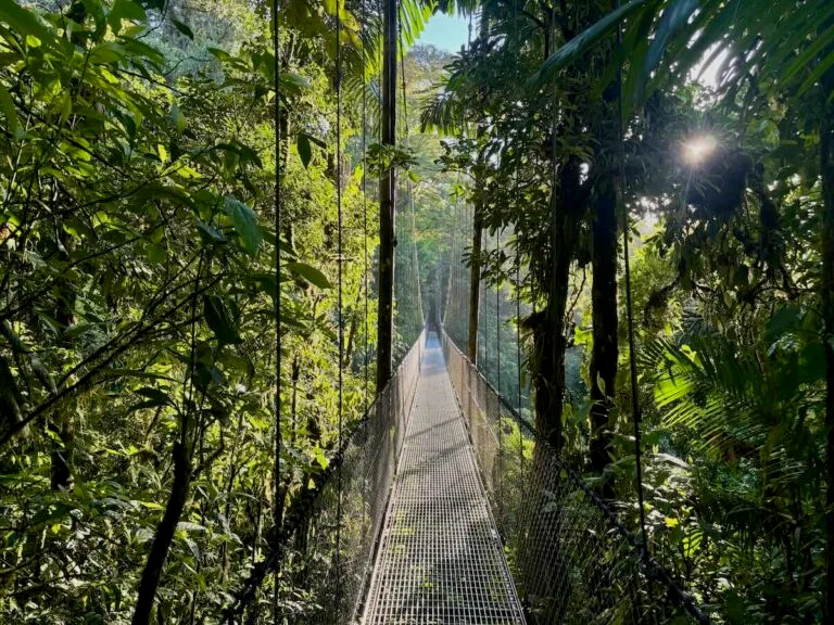 A long suspension bridge stretching through dense green rainforest canopy at Mistico Arenal hanging bridges park, with sunlight breaking through