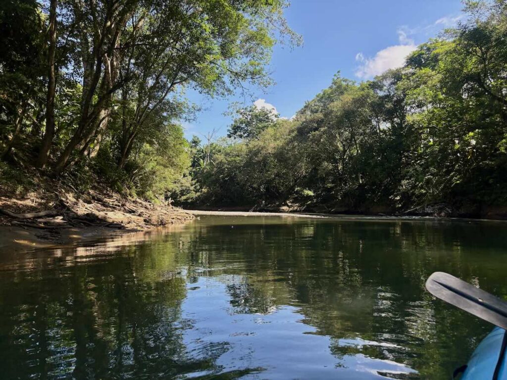 View from a raft drifting down the calm Rio Peñas Blancas on a Safari Float wildlife tour, with jungle-lined banks and blue sky reflected in the water