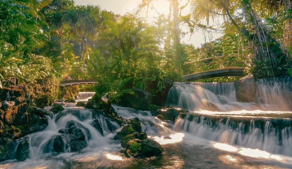 Thermal river running over wide rock ledges into a series of falls, crossed by two stone footbridges under backlit jungle