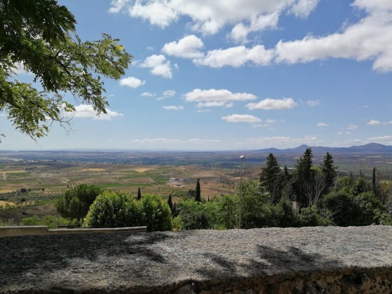 View from the Santuario de la Misericordia over olive groves, vineyards and distant hills in the Aragón countryside