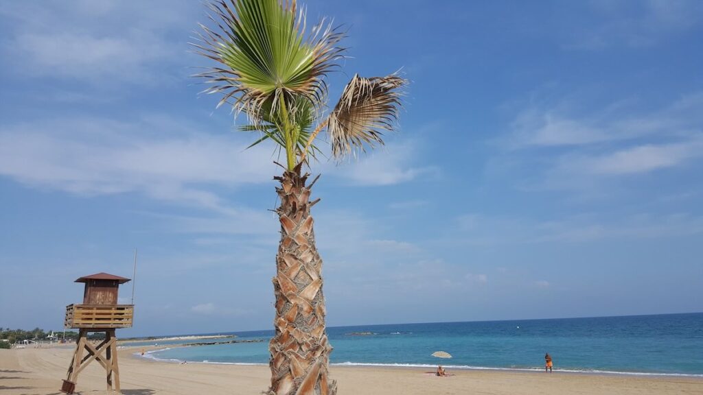 Sandy beach at Vinaròs with a tall palm tree, wooden lifeguard tower and turquoise Mediterranean sea under a blue sky
