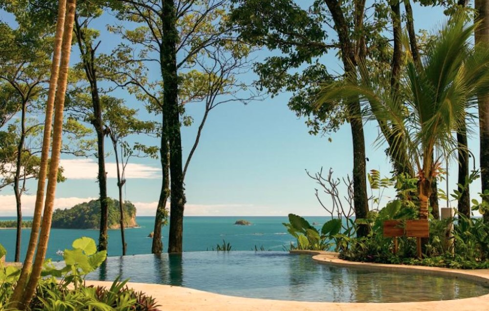 Infinity pool framed by tall rainforest trees, looking out to the ocean and a forested island offshore