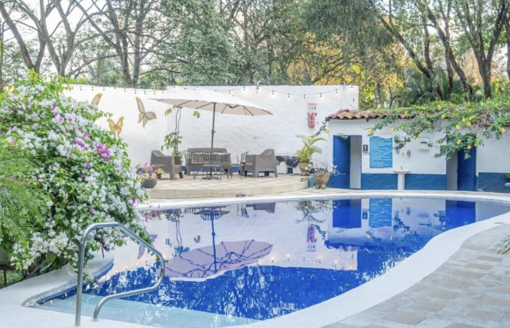 Bright blue pool beside a white garden wall painted with butterflies, a parasol and rattan seating on the terrace, tall trees behind
