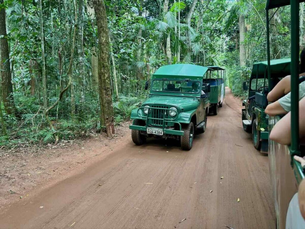 Green open-sided jeep towing a trailer of passengers along a red dirt track through dense rainforest, with a second jeep alongside.